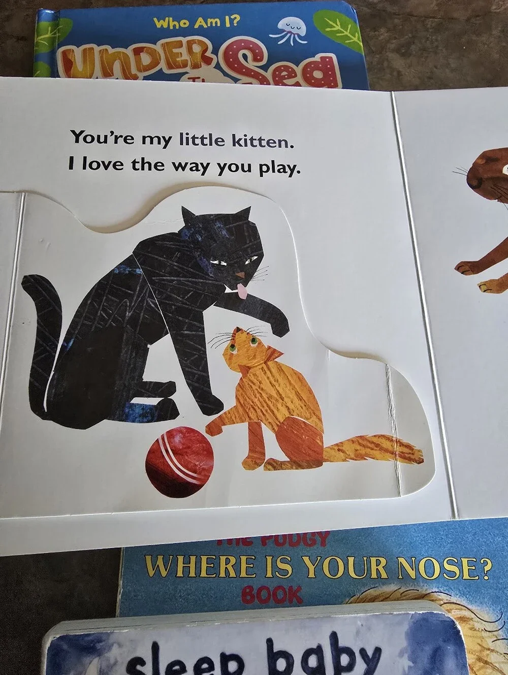 (6) Baby Books